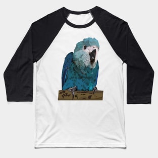 Spix's Macaw Baseball T-Shirt